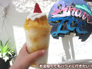 オーガニックリリコイとオーガニックココナッツ シェイブアイス Lサイズ