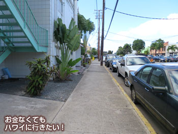 (モーニンググラス コーヒー カカアコ店へ)