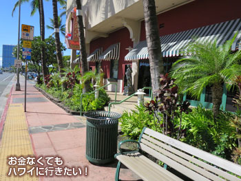 モーニンググラス コーヒー カカアコ店最寄りのトロリー停留所