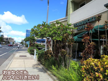 右手にスターバックスコーヒー(モーニンググラス コーヒー カカアコ店へ)