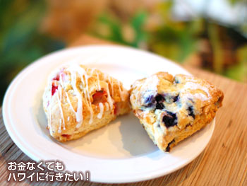 モーニンググラス コーヒー カカアコ店の自家製スコーン