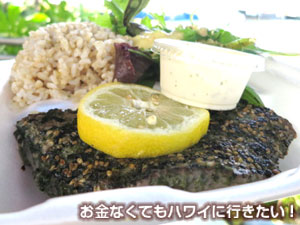 ニコスのフリカケパンシアードアヒ