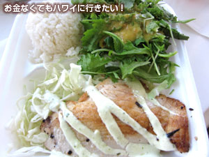 ニコスピア38のキャッチ オブ ザ デイ