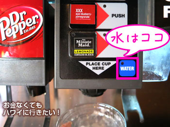 パイオロジー ピッツェリア(PIEOLOGY PIZZERIA)のウォーターサーバー