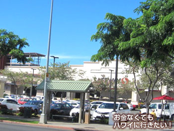 バスでセーフウェイへ(帰りのバス停)