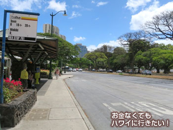 アラモアナセンターの海側バス停(スクラッチキッチン&ミータリーへ)
