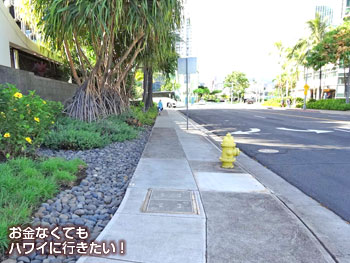 スクラッチキッチン&ミータリーの行き方 ビルの横にある歩道を直進
