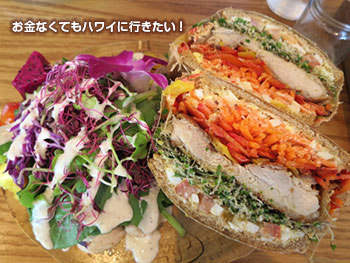 サニーデイズ メニュー サンドイッチ グリルドチキン