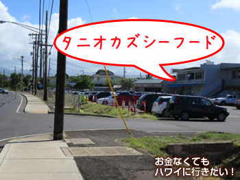 タニオカズシーフードに到着(タニオカズシーフードから)