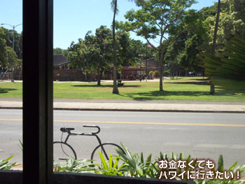 テディーズビガーバーガー ワイキキ店の店内から見えるホノルル動物園の入口