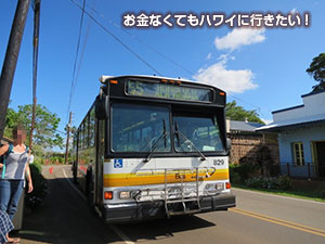 ハレイワ 60番バス(旧55番バス)