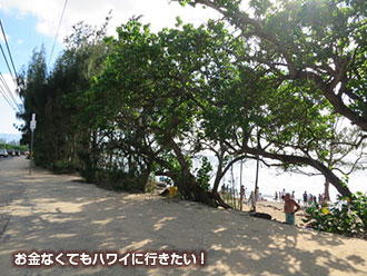 ラニアケアビーチに到着