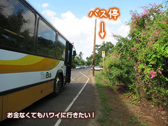 ラニアケアビーチ バス