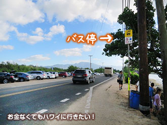 ラニアケアビーチ バス停 ハレイワタウン方面