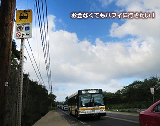 ラニアケアビーチ バス停 タートルベイ方向から来たバス
