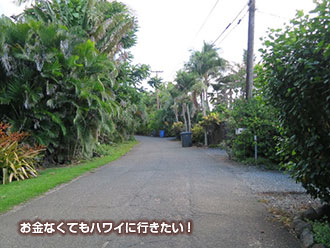 ラニアケアビーチ 最寄バス停からの静かな道