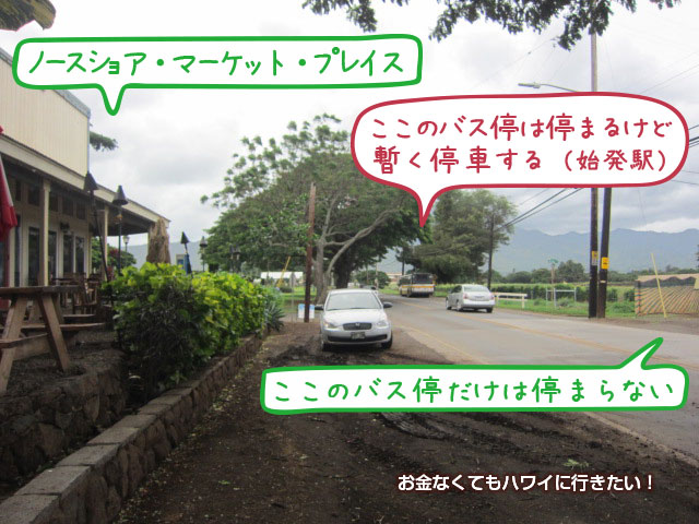 ハレイワのバス停
