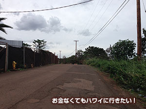 ワイアルア本願寺