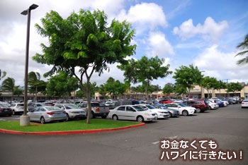 ワイケレアウトレットの駐車場
