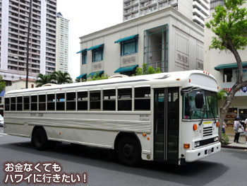 アロハ ワイケレシャトル(大型)
