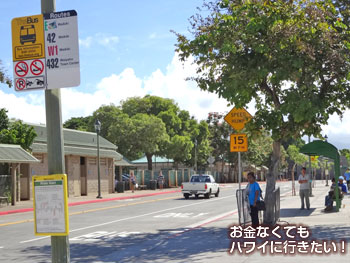 ワイパフトランジットセンターでEに乗車