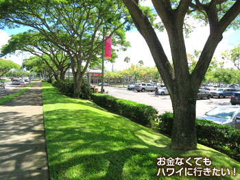 右手はワイケレセンター駐車場