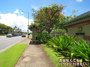 元気寿司の横にあるバス停