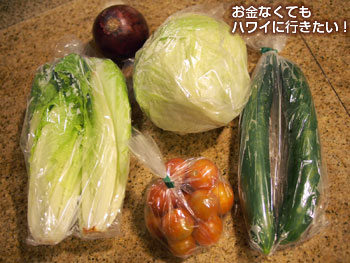ハイアットリージェンシーファーマーズマーケットで買った野菜