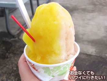 ワイオラシェイブアイスのシェイブアイス(ラージ)