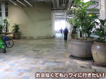 アラモアナセンターの通路を更に直進(アラモアナセンターから徒歩でウォルマートへ)