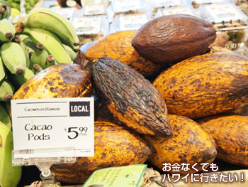 ホールフーズマーケットのローカルカカオ